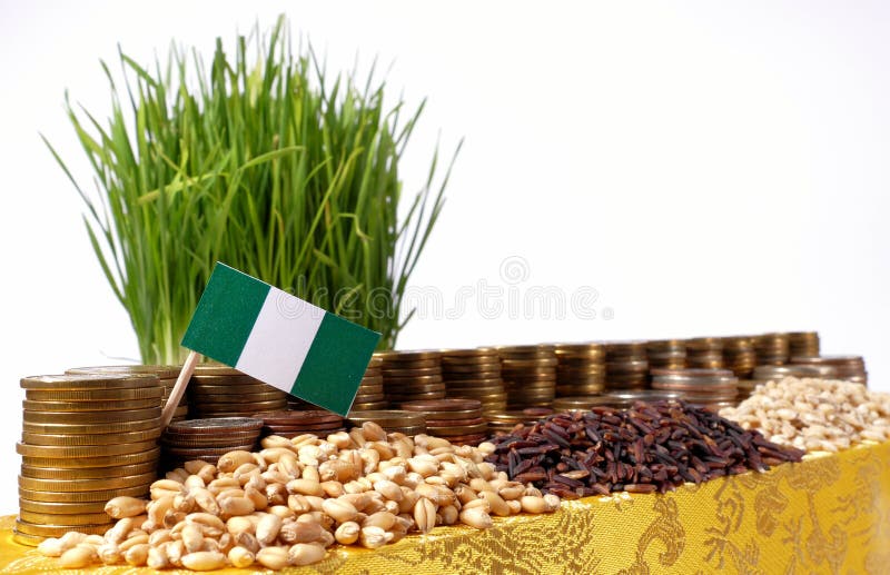 Nigeria flag waving with stack of money coins and piles of wheat