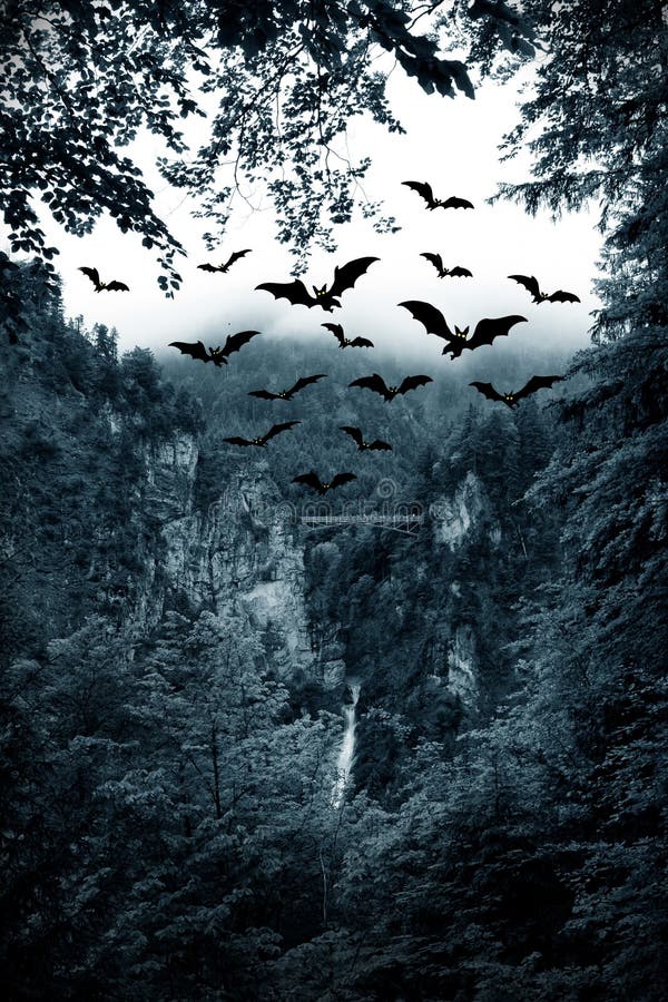 Night and bats in Halloween