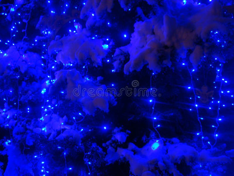 Night after Christmass stock photography Night after Christmass stock photography