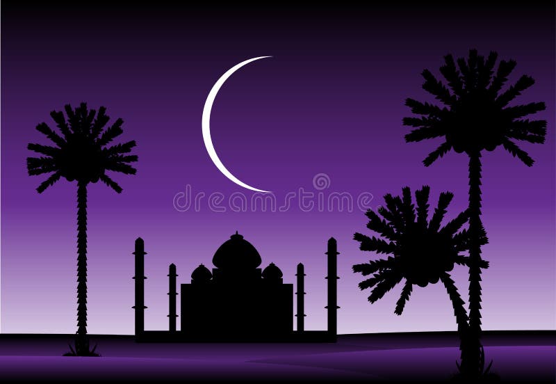 Night in desert vector illustration