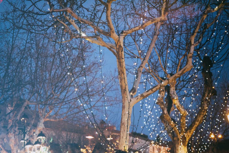 Night festive illumination on the trees, on the background of th royalty free stock image Night festive illumination on the trees, on the background of th royalty free stock image