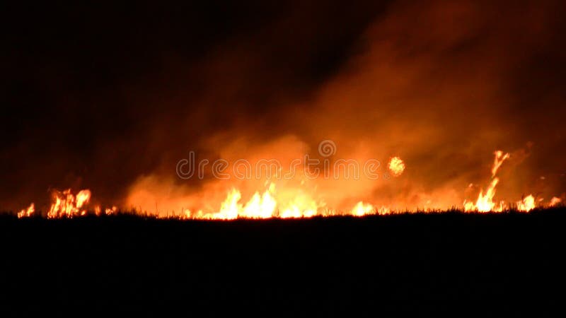 Night fire in the field