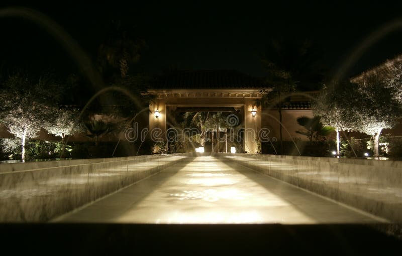 Night garden stock image