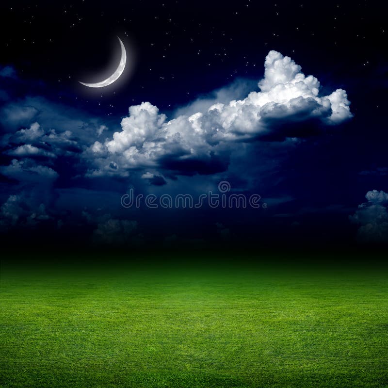 Night, green field