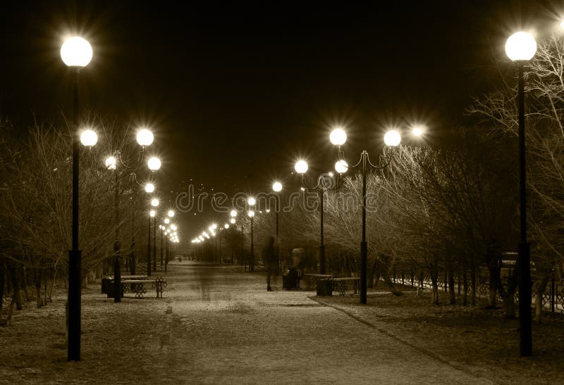 Night Lane with Street Lamps Stock Image Image of bare, street 11968497