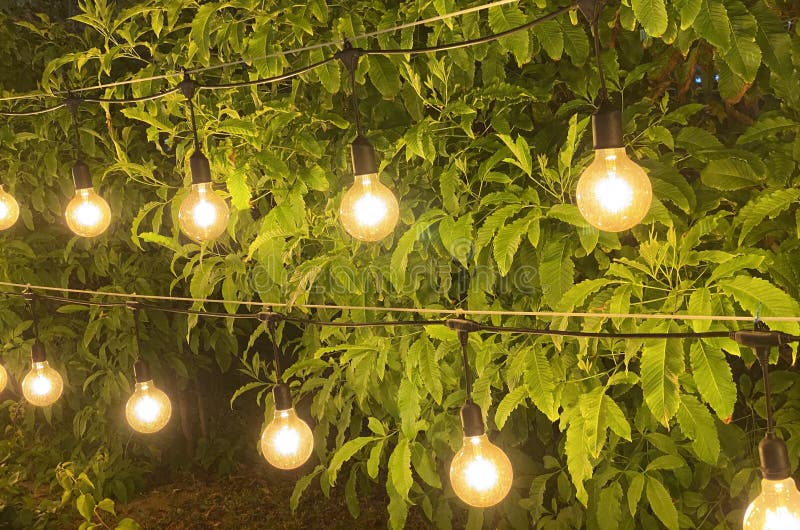 Night Light Bulbs on Green Leaves Background. Stock Image Image of