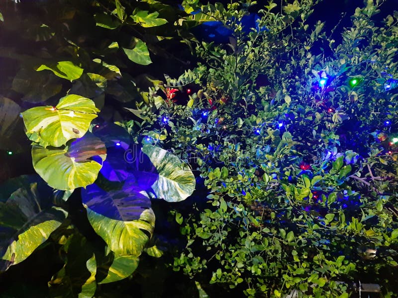 Night lighting in plant stock photo. Image of lighting 176514306