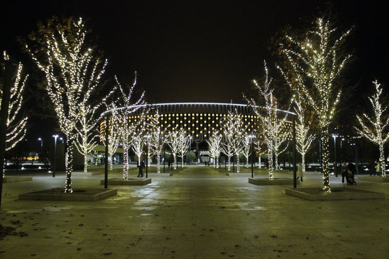 Night lights in the park. stock photo. Image of leaf 231927804