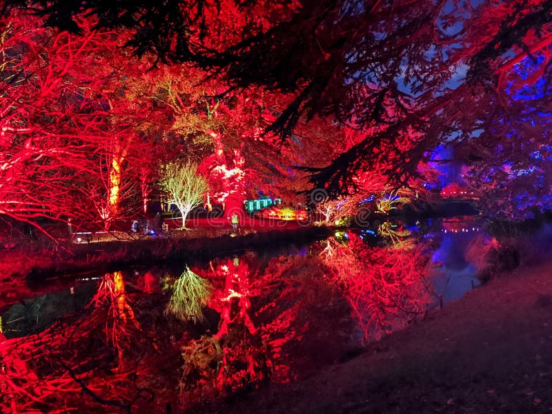 Night Lights at the Park in Kew Stock Image Image of light, christmas 166658249