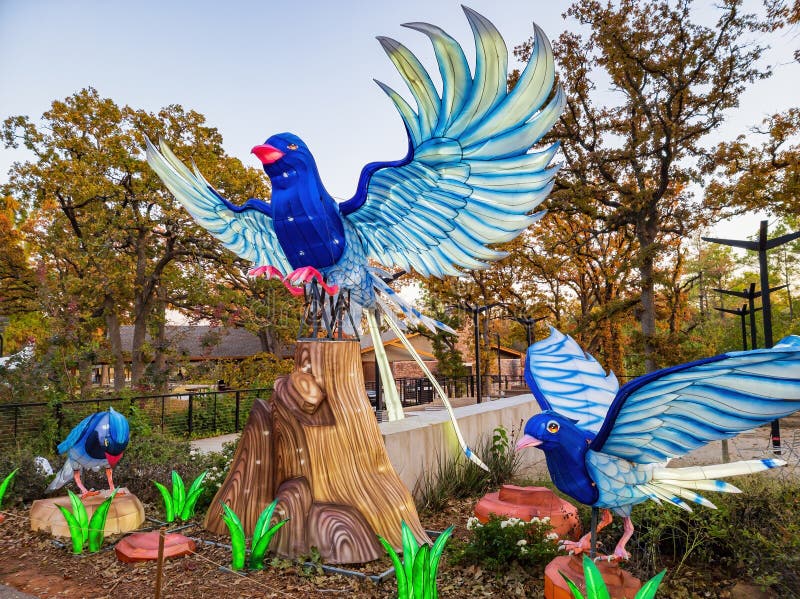Night of the Oklahoma City Zoo of Safari Light Editorial Stock Image