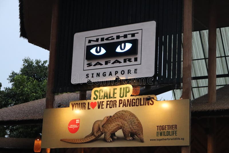 Night Safari - Singapore tourism - Singapore travel diaries