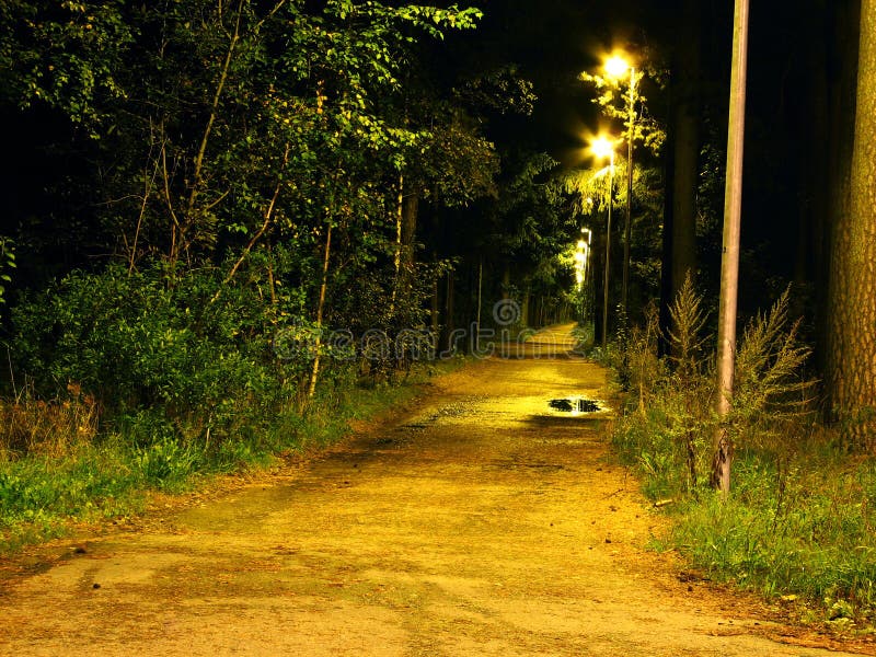 Night scene stock images