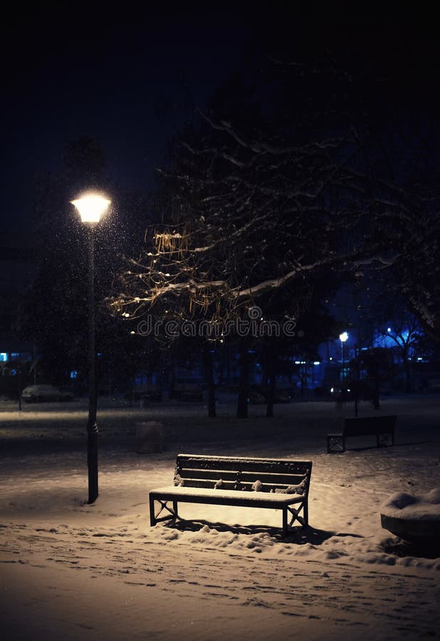 City park in winter royalty free stock image City park in winter royalty free stock image