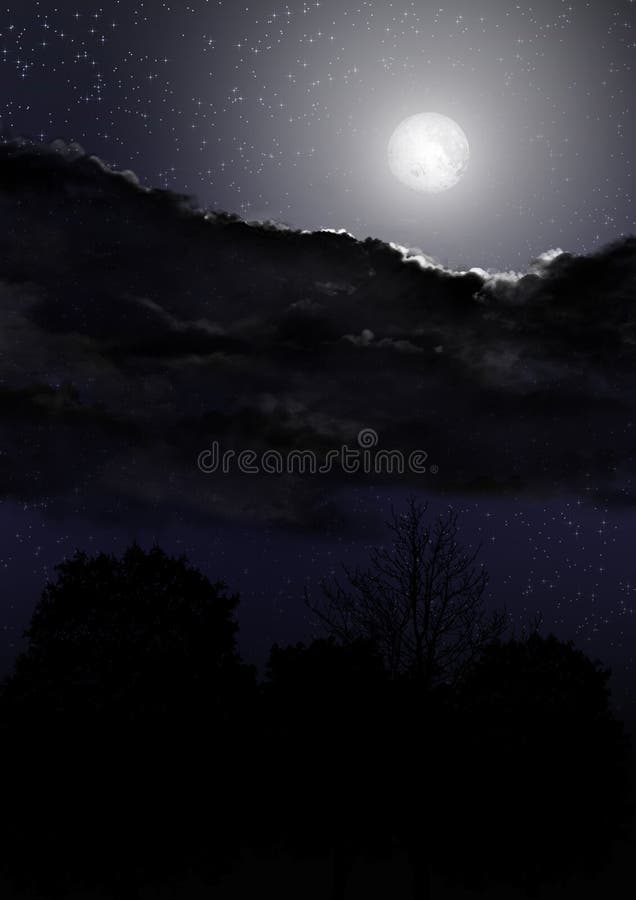 Night Sky 03