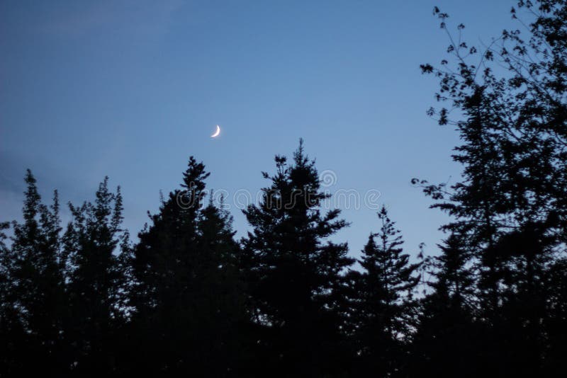 Night Sky with the Moon, Maine Stock Image Image of beauty, moon