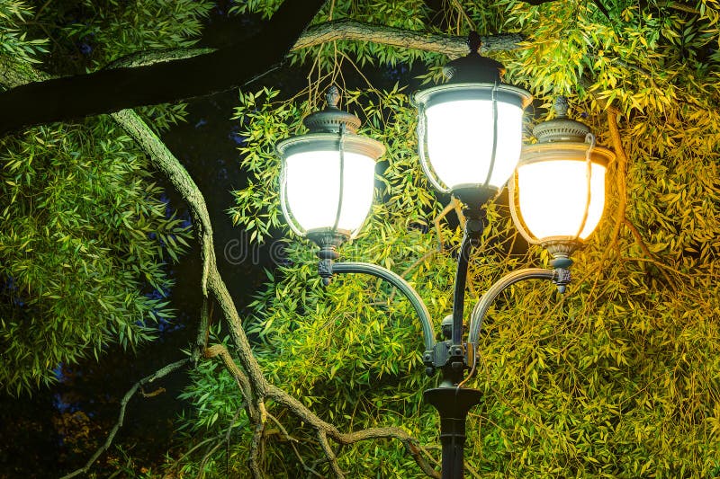 Night Street Light In Foliage And Illuminated Street Stock Image