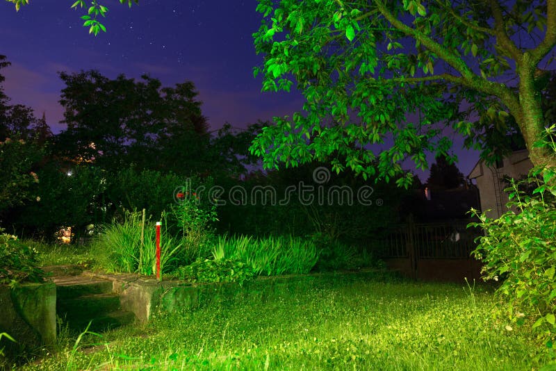 Night Summer Garden in Magical Green Light Stock Photo - Image of light,  magical: 190724436