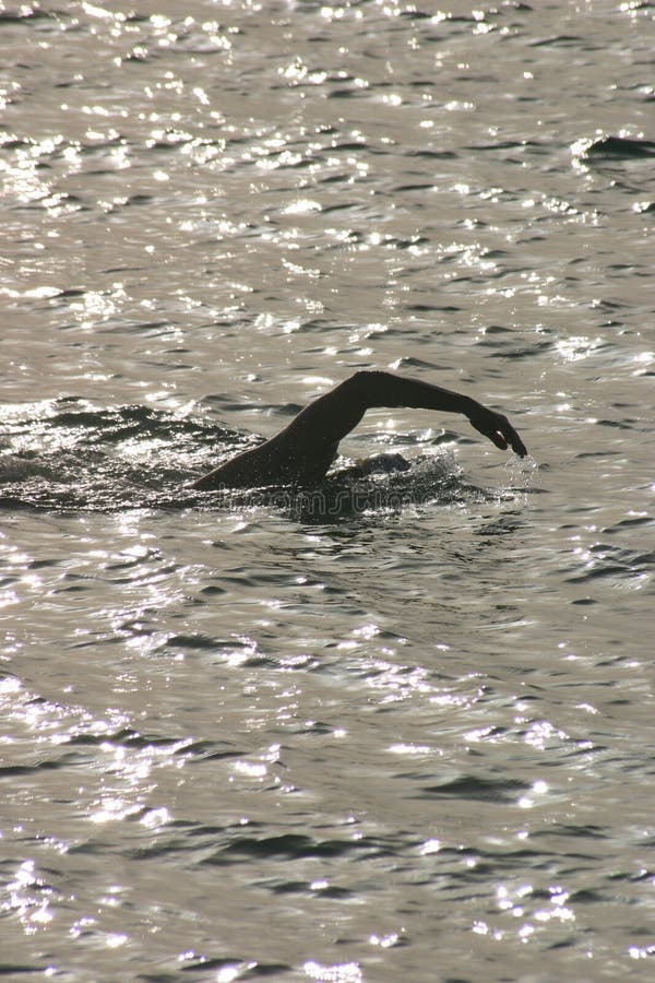 Night swimmer royalty free stock images