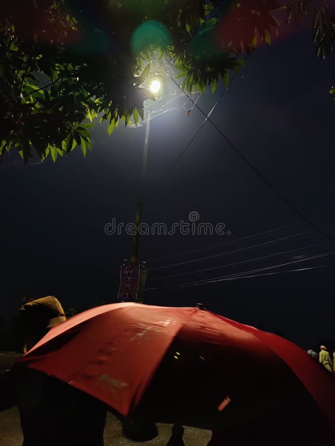 Night Time Raining , Umbrella Photo