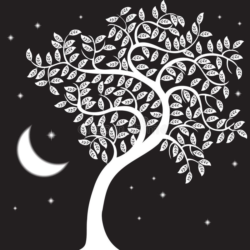 Day and night tree stock vector. Illustration of calm 8167694