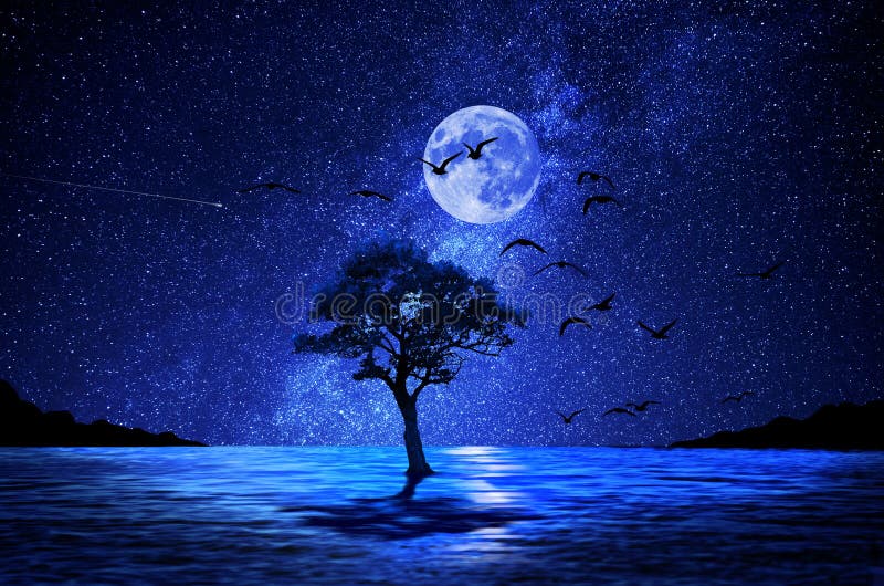 Get Mesmerized by the Background Tree Moon for Your Aesthetic Projects