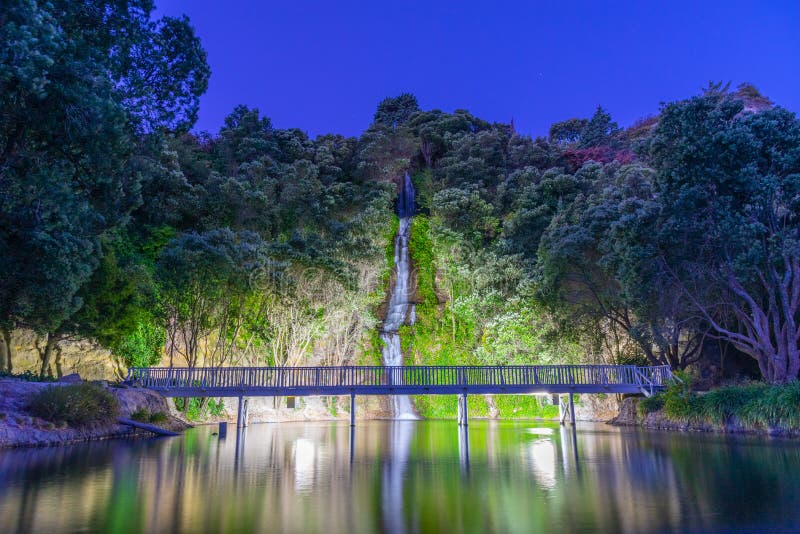 Night at Napier Bay with Light of Harbour Cranes and Christmas Tree