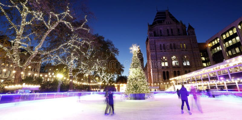 Night View of Natural History Museum. Decoration, christmas.