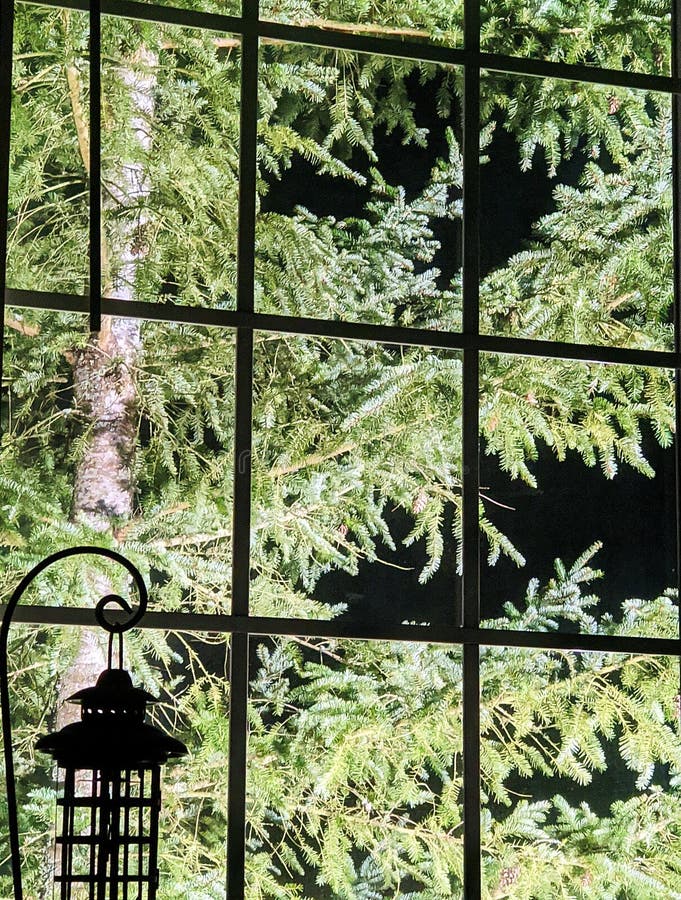 Nightime stock photo. Image of entrance, illuminated - 36088298