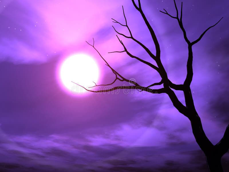 Nightshade lizenzfreie abbildung Nightshade lizenzfreie abbildung
