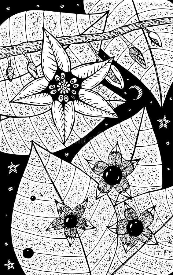 Nightshade - цветочная иллюстрация Черно-белый цветочный чернила Колоритная книга для взрослых Линейное искусство Векторная иллюс бесплатная иллюстрация Nightshade - цветочная иллюстрация Черно-белый цветочный чернила Колоритная книга для взрослых Линейное искусство Векторная иллюс бесплатная иллюстрация