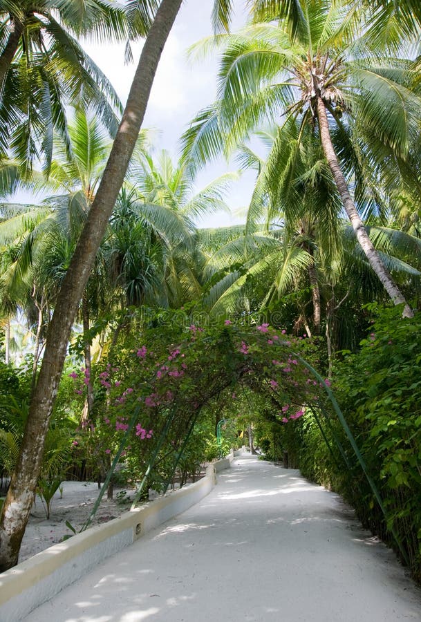 Nika Island Resort, Maldives