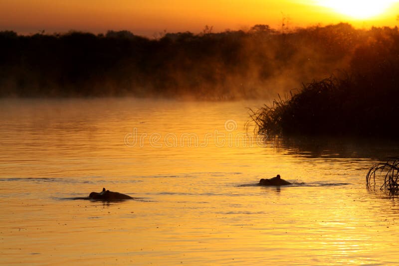 nile flodsoluppgång fotografering för bildbyråer nile flodsoluppgång fotografering för bildbyråer