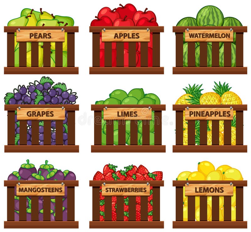 Nine Types of Fruits in Wooden Baskets Stock Vector Illustration of