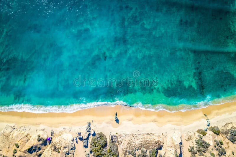 Niopalmstranden på mexico arkivfoton