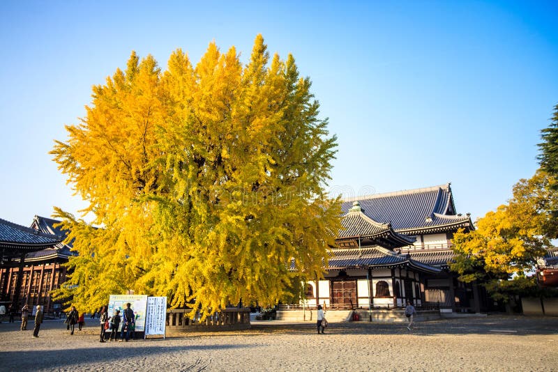 Nishi Hongan-ji imagem de stock Nishi Hongan-ji imagem de stock