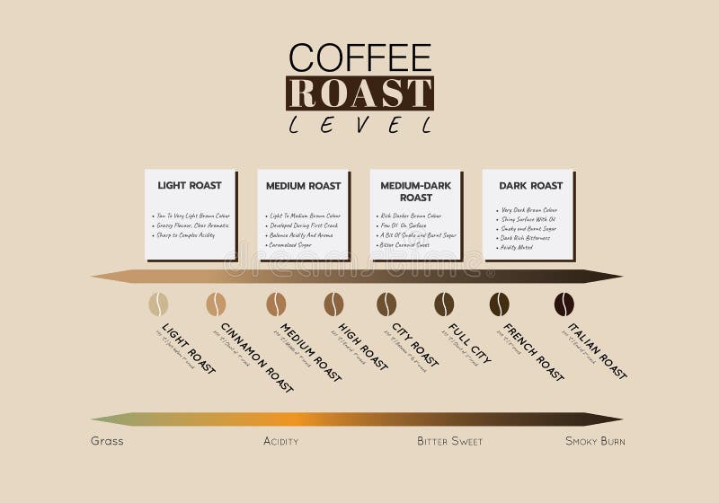 Niveau van de koffieborst. gehalte aan koffiezuren en -smaak;. illustratievectorafbeelding
