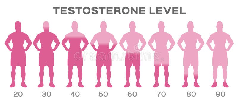 Nivel de hormona de la testosterona/hombre