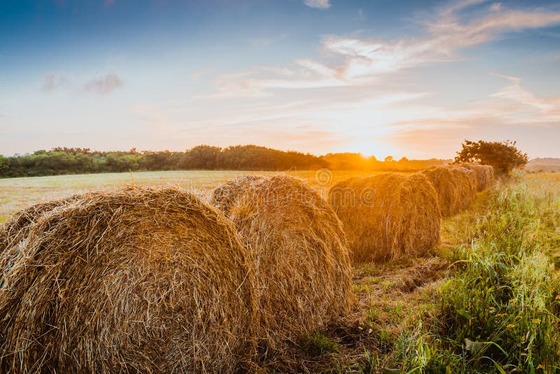 Żniwa pojęcia haystacks na zmierzchu polu fotografia stock Żniwa pojęcia haystacks na zmierzchu polu fotografia stock