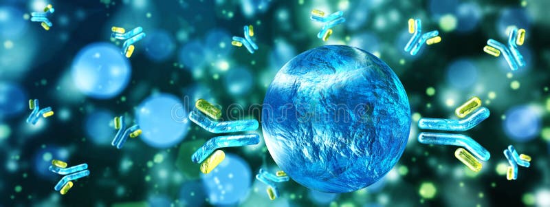 Antibodies, immunoglobulins, the immune system, 3D rendering. Antibodies, immunoglobulins, the immune system, 3D rendering