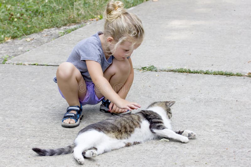 Little girl cuddles a white and grey cat. Little girl cuddles a white and grey cat.