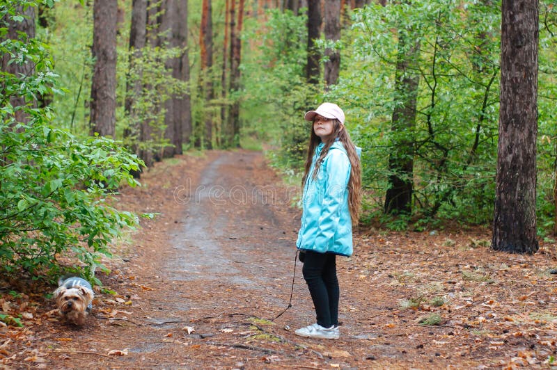 Niña con el perro que camina en el camino en bosque fotografía de archivo libre de regalías Niña con el perro que camina en el camino en bosque fotografía de archivo libre de regalías