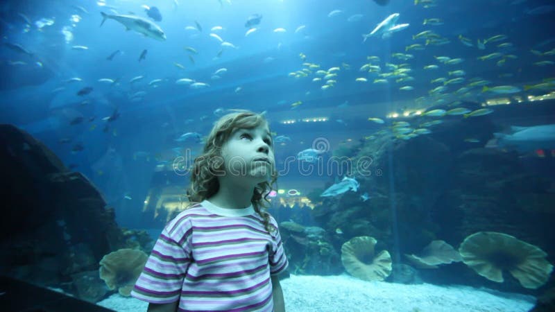 Niña de cerca parada en oceanarium almacen de metraje de vídeo