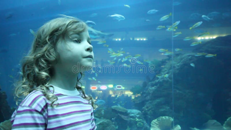 Niña de cerca parada en oceanarium metrajes