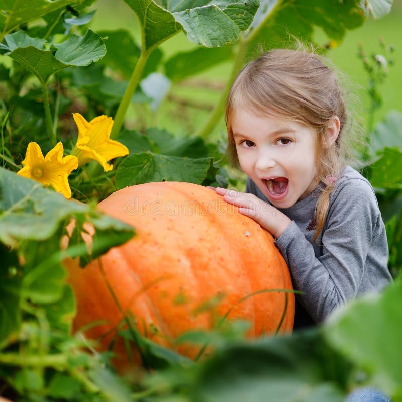 Niña linda que abraza una calabaza imágenes de archivo libres de regalías Niña linda que abraza una calabaza imágenes de archivo libres de regalías