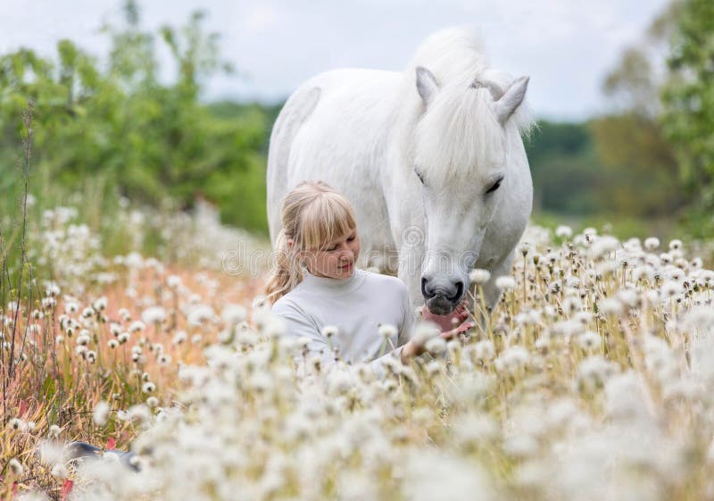 Una niña pequeña y adorable alimentando a un poni Shetland blanco fotos de archivo