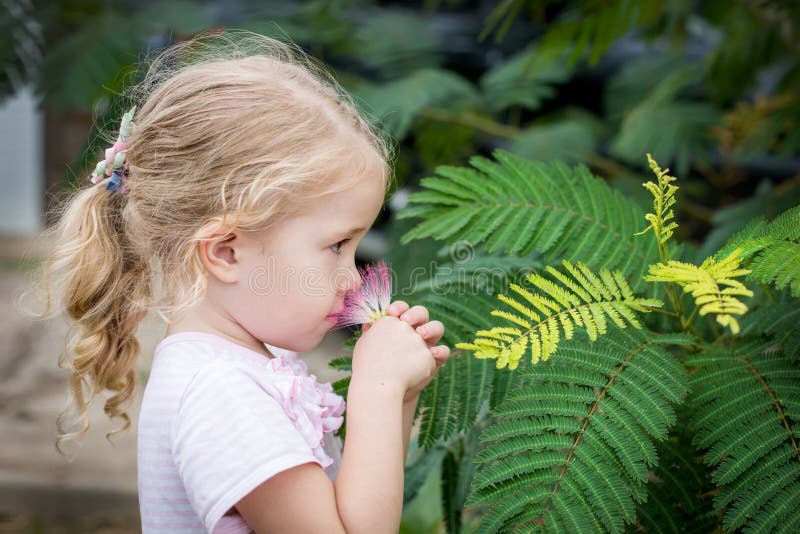 Niña linda que huele una flor foto de archivo Niña linda que huele una flor foto de archivo