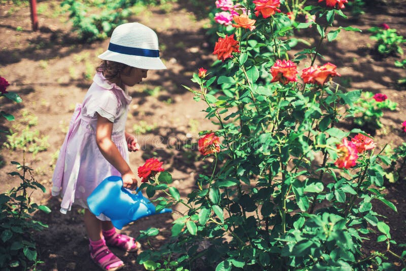 Niña linda que riega las flores color de rosa en el jardín fotografía de archivo Niña linda que riega las flores color de rosa en el jardín fotografía de archivo