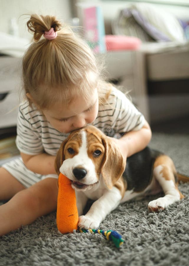 Niña pequeña abraza a un adorable cachorro beagle.