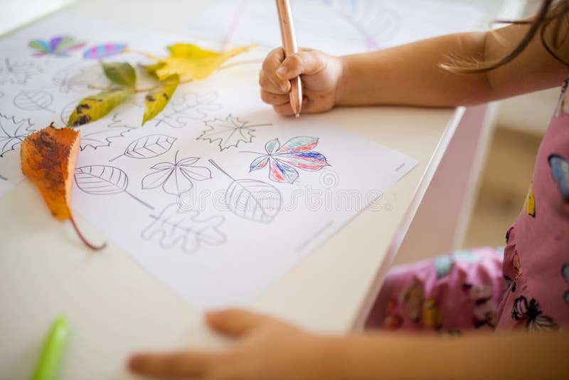 Niña pequeña coloreando diferentes tipos de hojas en una hoja de papel con un bolígrafo imágenes de archivo libres de regalías