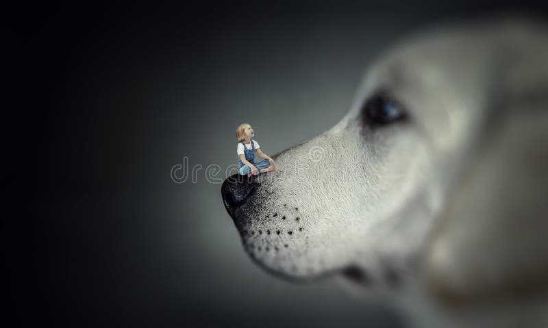 Niña pequeña con nariz de perro foto de archivo libre de regalías